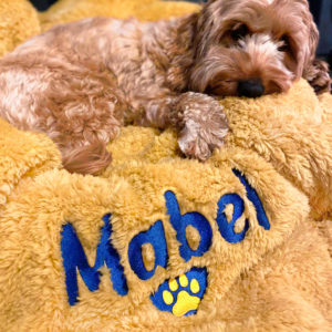 Personalised Paw Heart Extra Large Super Soft Fleece Pet Blanket